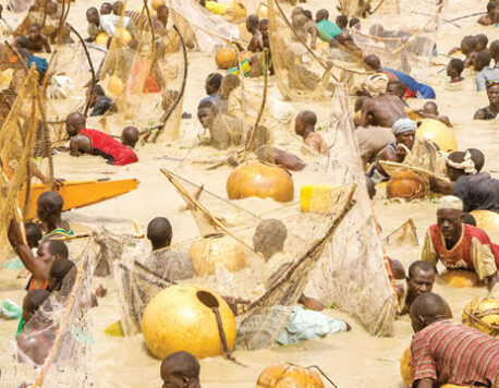 <strong>ARGUNGU FISHING FESTIVAL</strong>