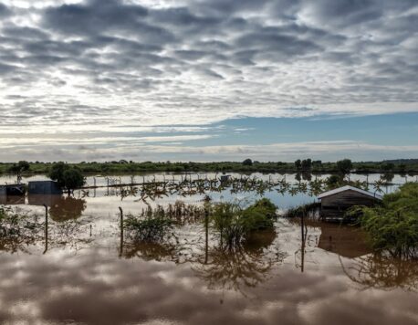 Kenya’s Maasai Mara Game Reserve Evacuates Tourists and Staff Due to Severe Flooding