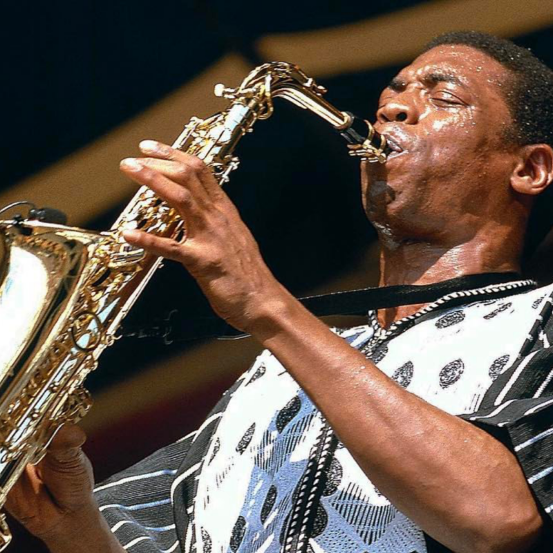 Femi Kuti Confronts Corruption in New Single “Politics Don Expose Them”