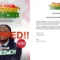 Stonebwoy Removed from Ghana Victory Concert Amidst NDC Uproar