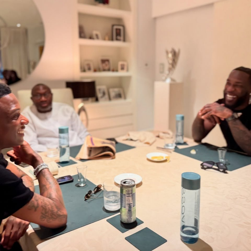 Femi Otedola Hosts Wizkid and Burna Boy at His Lagos Mansion