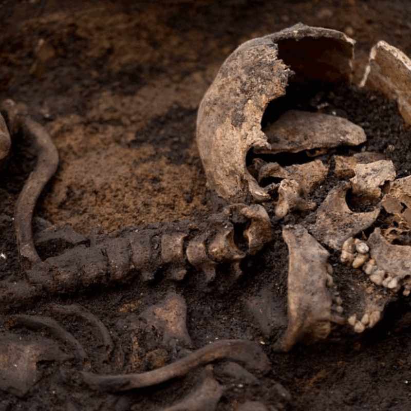 DNA Reveals West African Roots in 7th-Century England