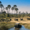 Luxury Tourism in Africa Enriches Foreign Investors but Leaves Locals Behind, New Research Shows