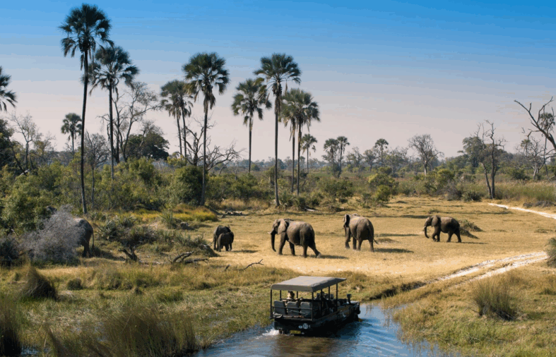 Luxury Tourism in Africa Enriches Foreign Investors but Leaves Locals Behind, New Research Shows