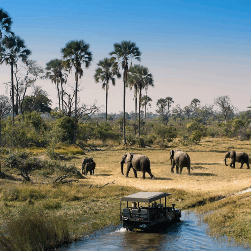 Luxury Tourism in Africa Enriches Foreign Investors but Leaves Locals Behind, New Research Shows