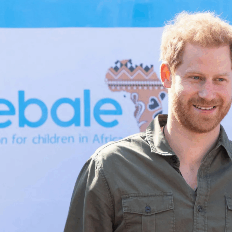Chad Cuts Ties With Prince Harry-Linked Wildlife Charity African Parks