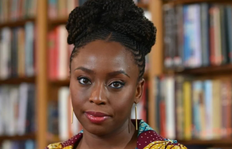 Nigeria suspends doctors over Adichie son’s death
